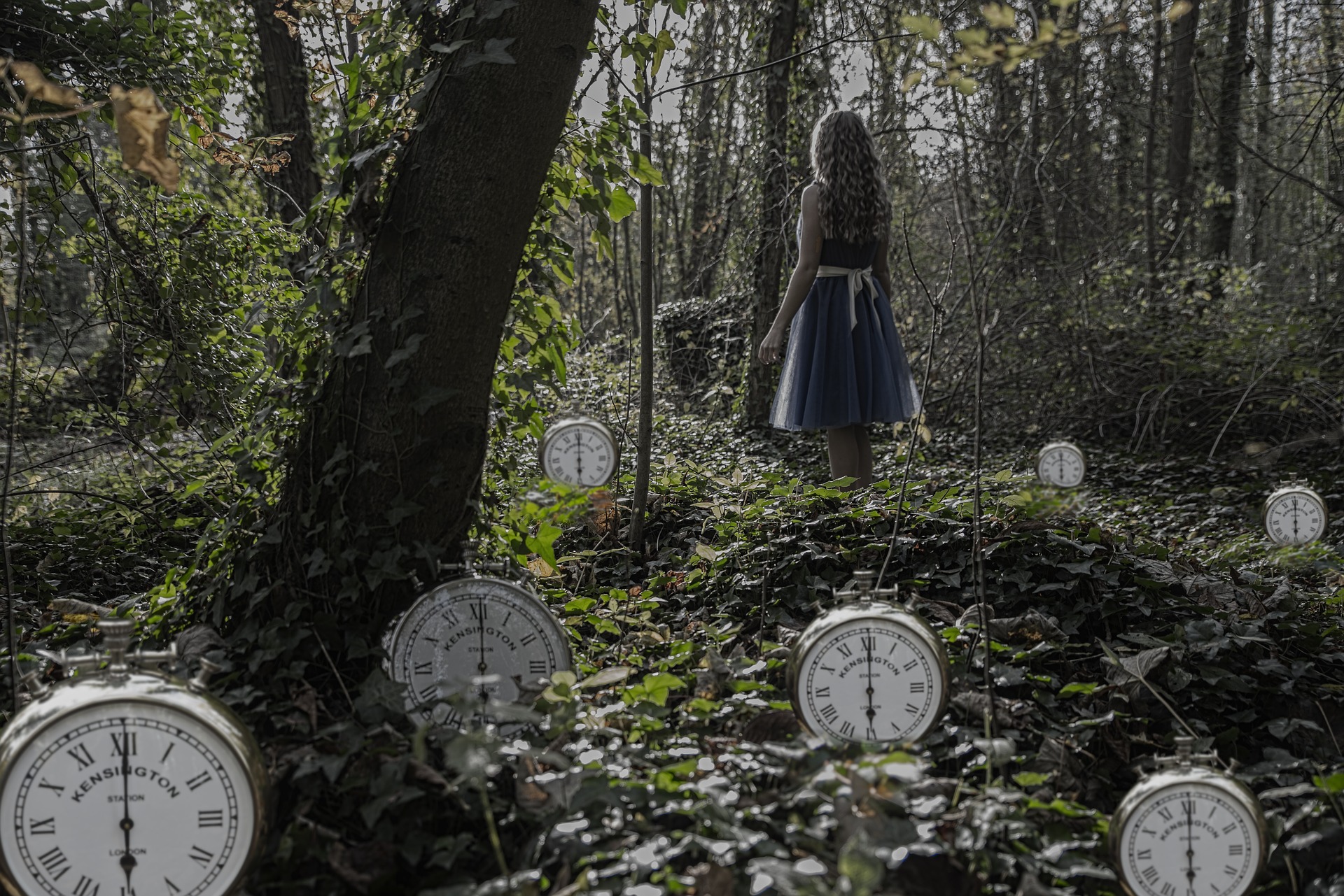 不思議の森の少女と時計